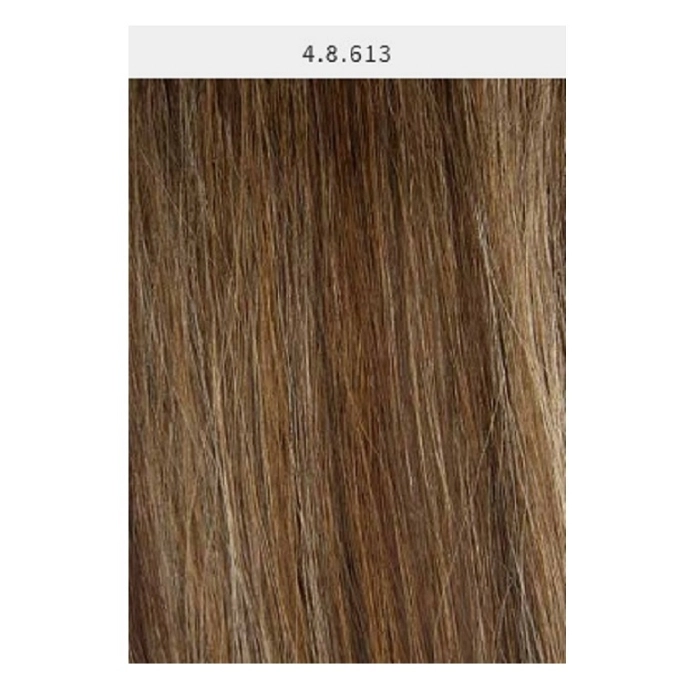 4/8/613 MECHAS CASTAÑOS Y RUBIO 4/8/613 MECHAS CASTAÑOS Y RUBIO