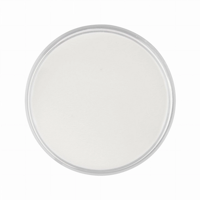 MOLLYLAC POLVO ACRILICO CLEAR 30GR