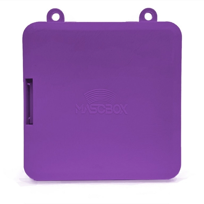 MORADO MORADO