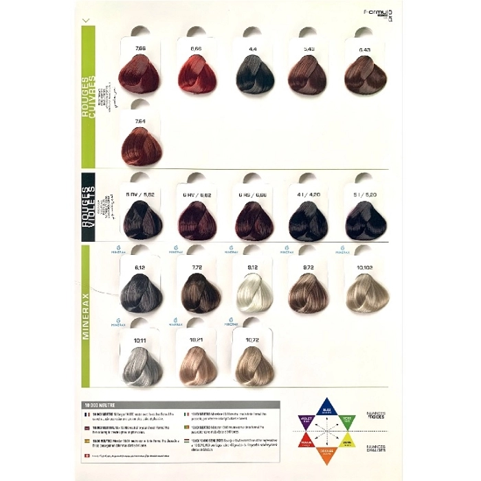 TINTE FORMUL PRO PROFESSIONAL WITH ARGAN OIL 100 ML